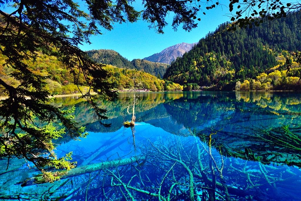 Turquoise Five-Flower Lake in Jiuzhaigou National Park